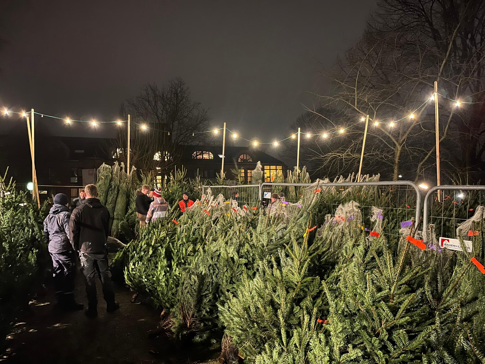 Sortierung der Bäume vor Ort